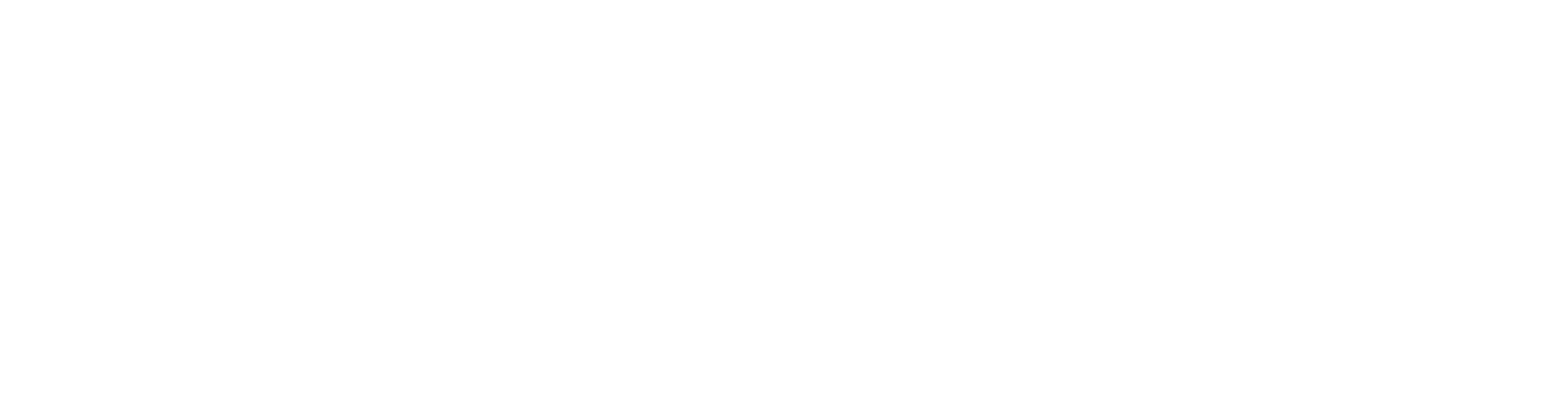 Dashio Logo